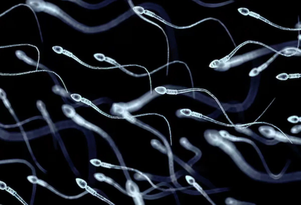 (Ảnh minh họa) (Ảnh minh họa)