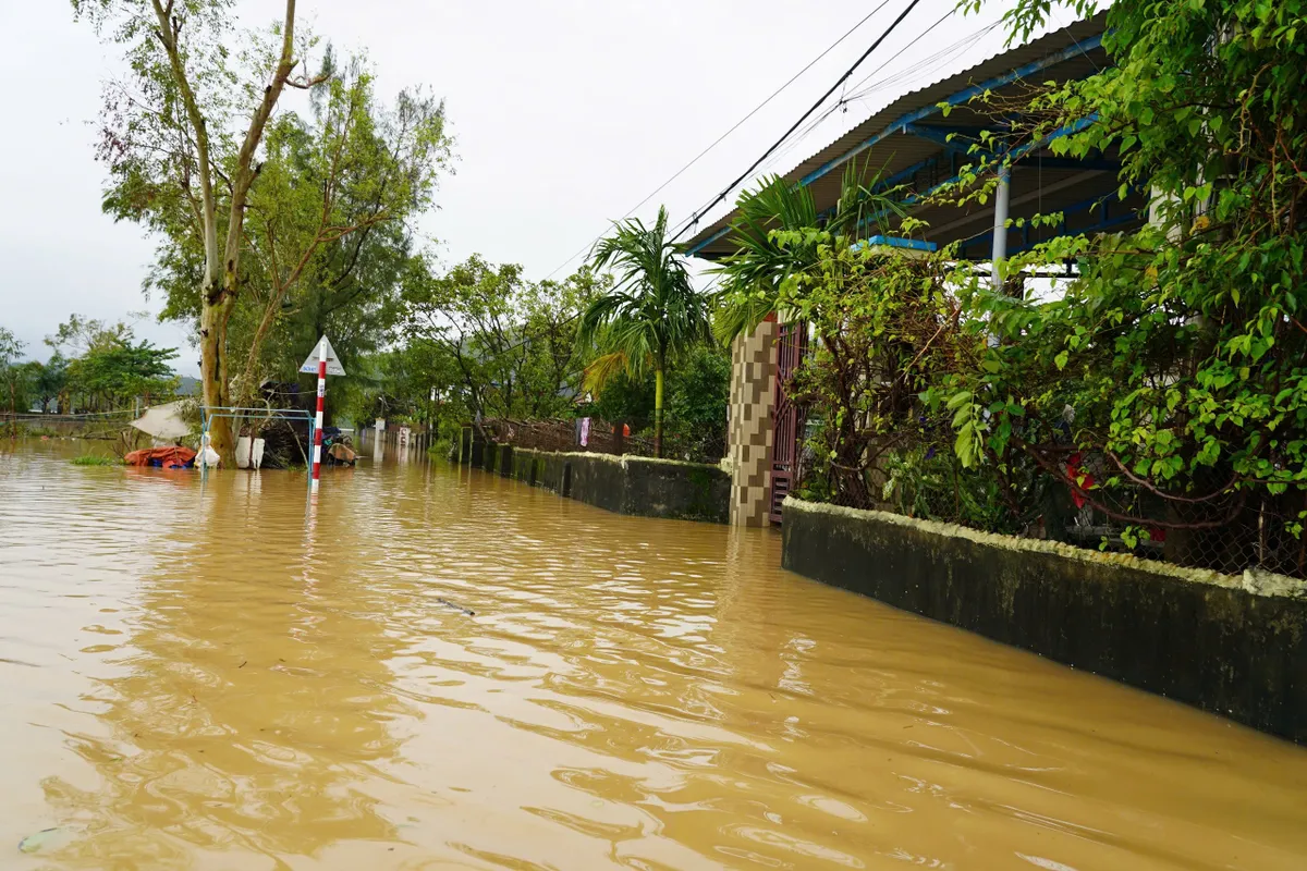 Quảng Trị: 4 người chết, 1 mất tích, hơn 3.600 nhà dân chìm trong nước - Ảnh 3.