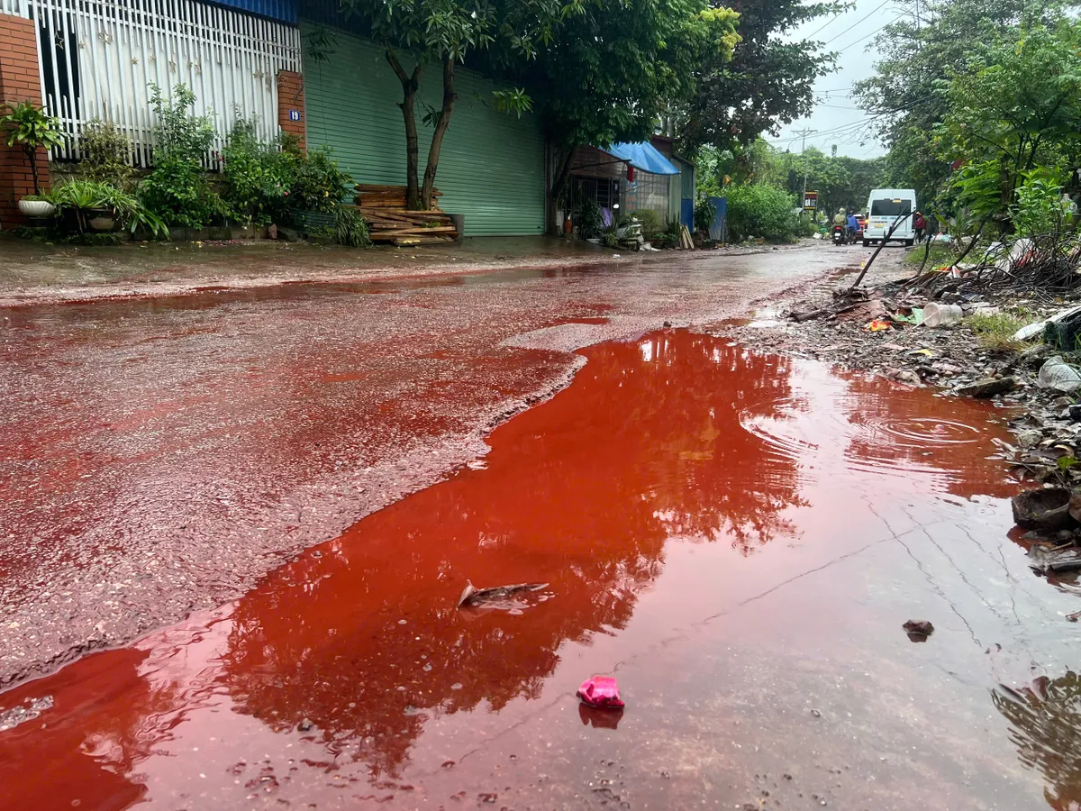 Chất lỏng màu đỏ nghi là quặng phủ kín mặt đường ở Thái Nguyên - Ảnh 2.