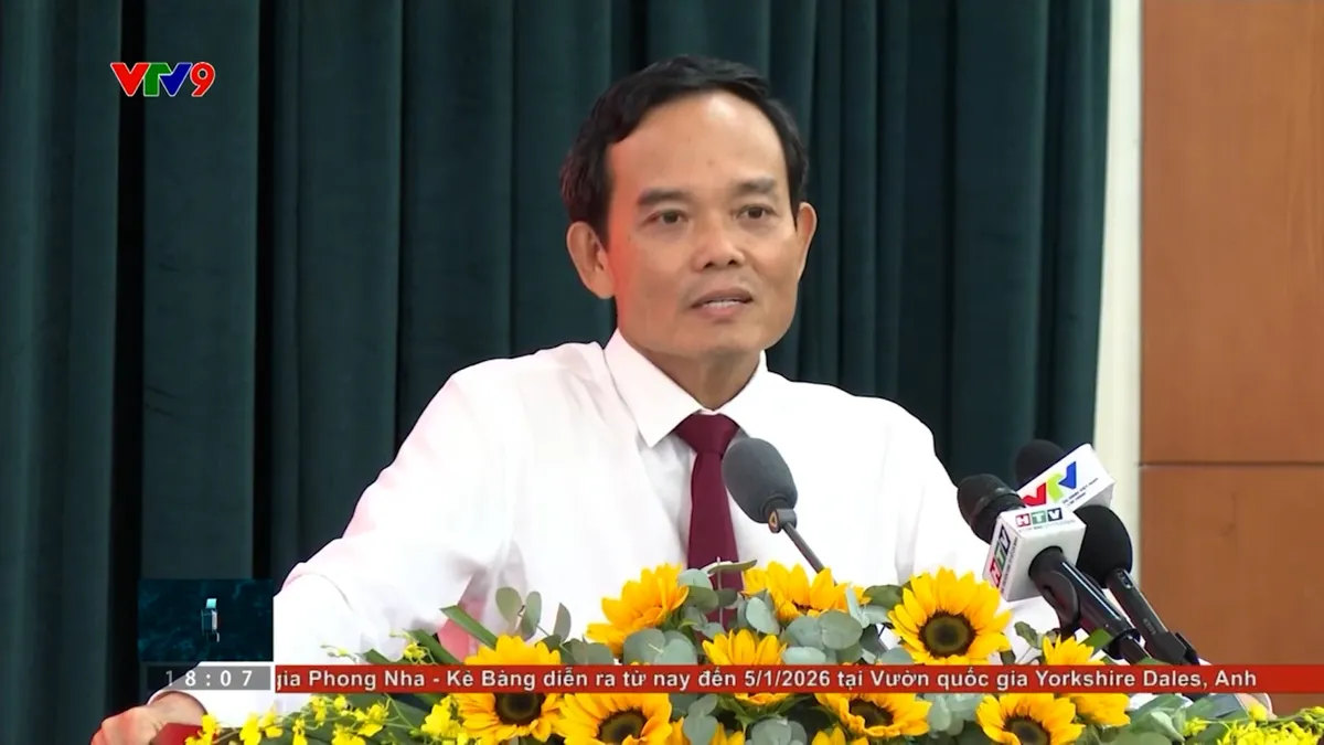 tc24h-0211-2 trần lưu quang.jpg