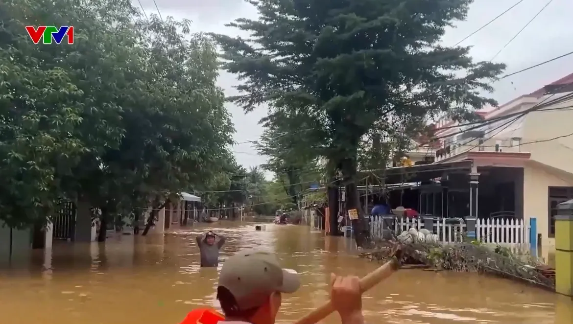 Đà Nẵng lũ chồng lũ, người dân kiệt quệ vì mất trắng hoa màu, gia súc, gia cầm- Ảnh 1. Đà Nẵng lũ chồng lũ, người dân kiệt quệ vì mất trắng hoa màu, gia súc, gia cầm- Ảnh 1.