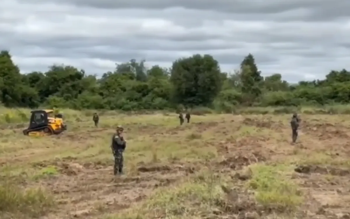 (Ảnh chụp màn hình)