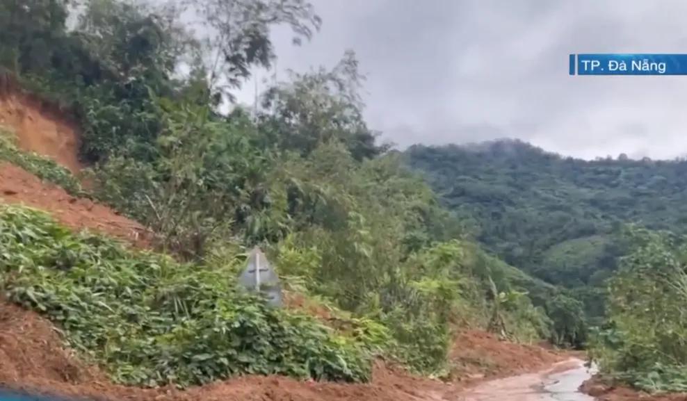 ffgfhgfhg - Ảnh 1.