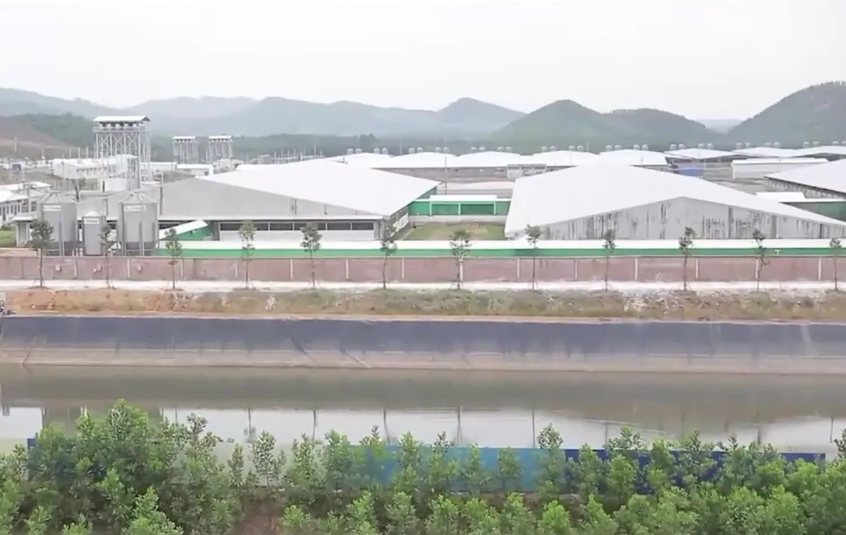 Bất cập trong xử l&yacute; m&ugrave;i tại c&aacute;c trang trại chăn nu&ocirc;i lợn c&ocirc;ng nghệ cao - Ảnh 1.