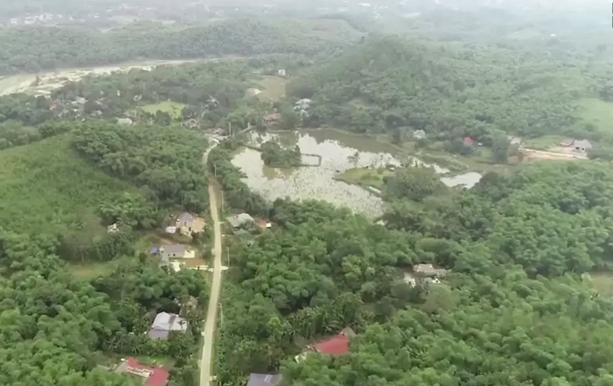 Bất cập trong xử l&yacute; m&ugrave;i tại c&aacute;c trang trại chăn nu&ocirc;i lợn c&ocirc;ng nghệ cao - Ảnh 2.