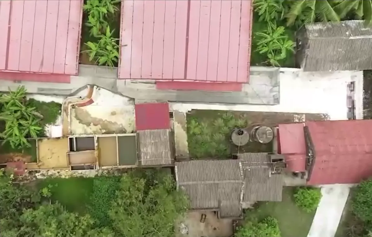 Bất cập trong xử l&yacute; m&ugrave;i tại c&aacute;c trang trại chăn nu&ocirc;i lợn c&ocirc;ng nghệ cao - Ảnh 3.