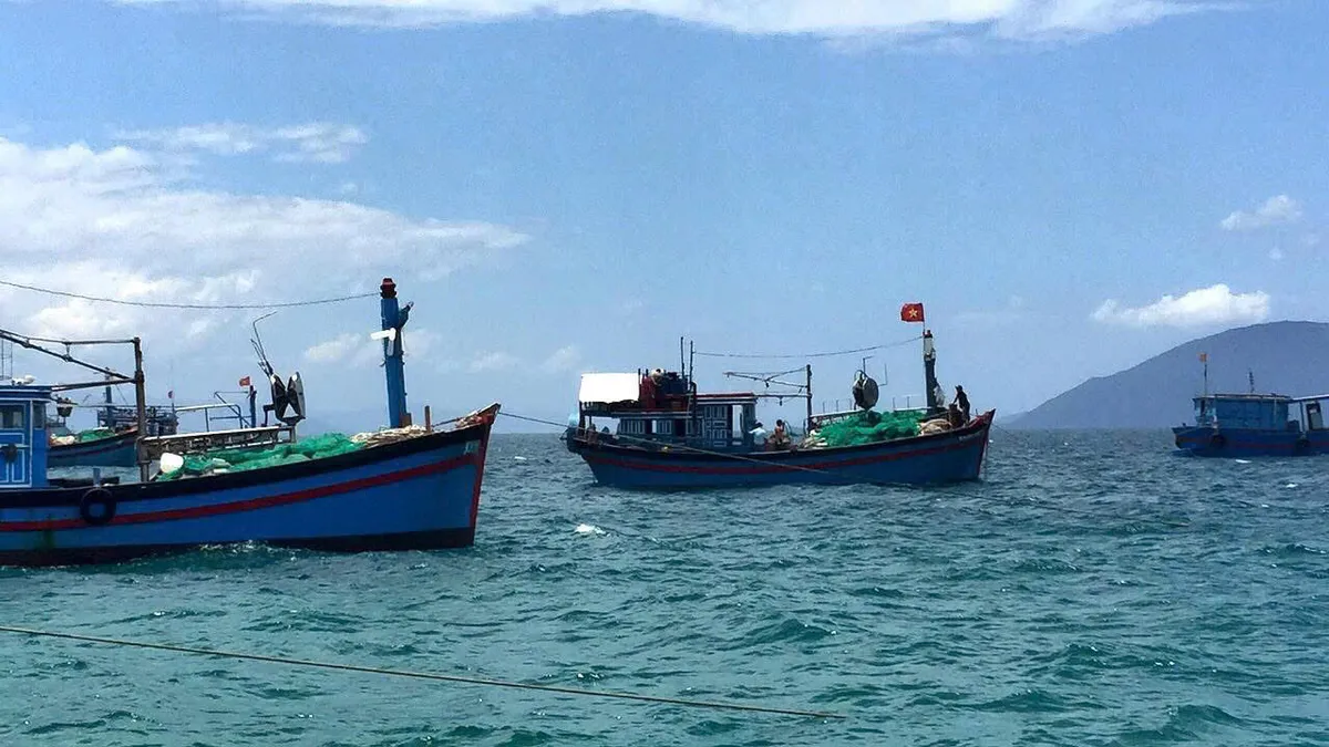 Khánh Hòa: Kêu gọi tàu, thuyền khẩn trương vào bờ, tìm chỗ tránh, trú bão an toàn trước 10 giờ ngày 5-11 - Ảnh 1.