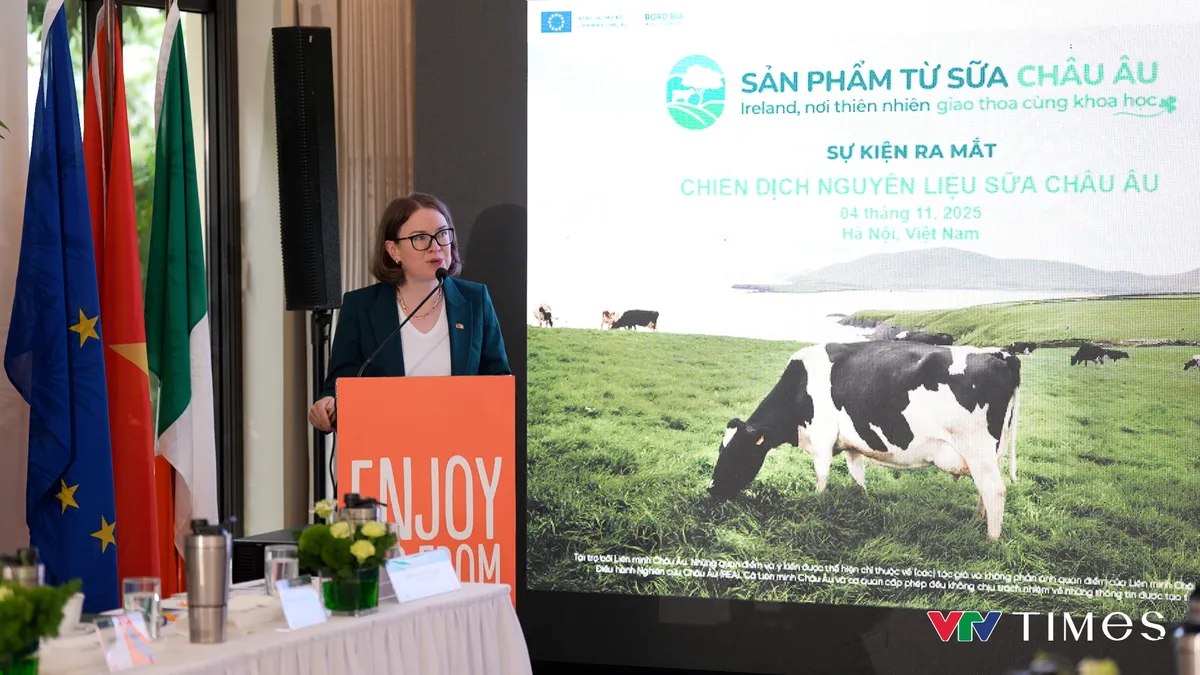 Tăng cường thương mại Việt Nam – Ireland: quan hệ đối tác chiến lược vì dinh dưỡng bền vững - Ảnh 4.