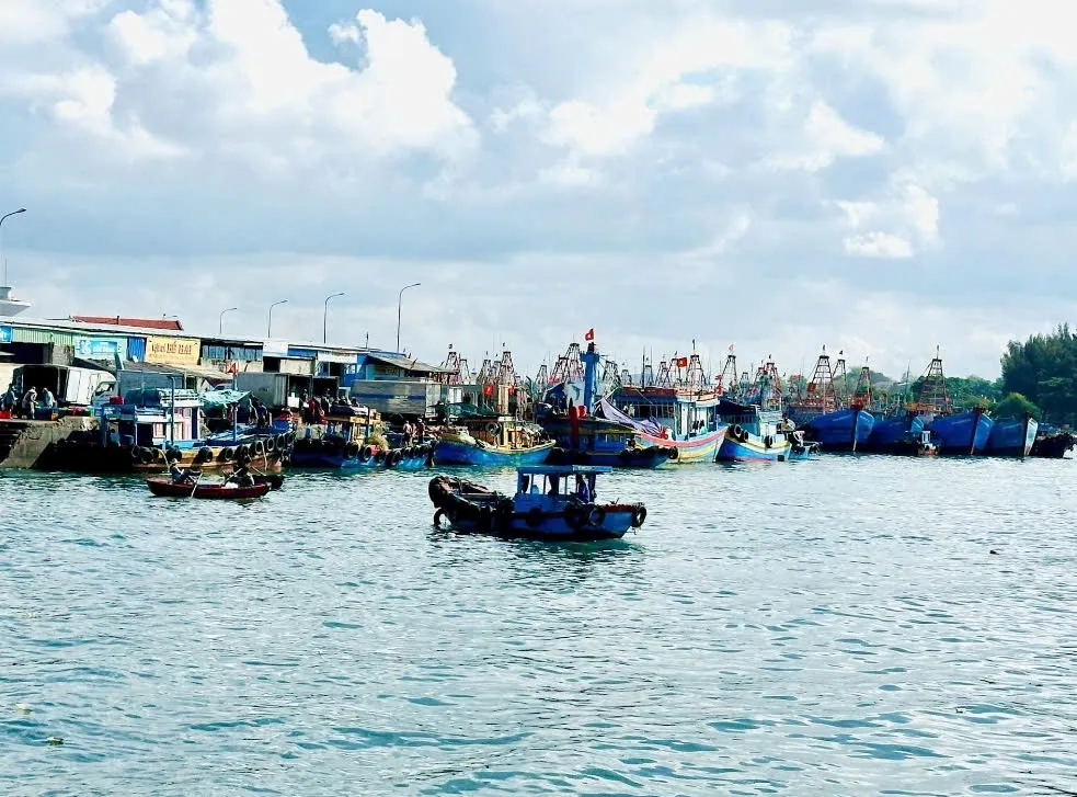 Lâm Đồng khẩn trương ứng phó với bão Kalmaegi - Ảnh 2.