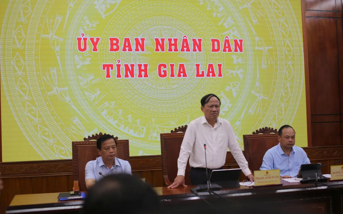 Ông Phạm Anh Tuấn - Chủ tịch UBND tỉnh Gia Lai chủ trì và chỉ đạo cuộc họp khẩn.