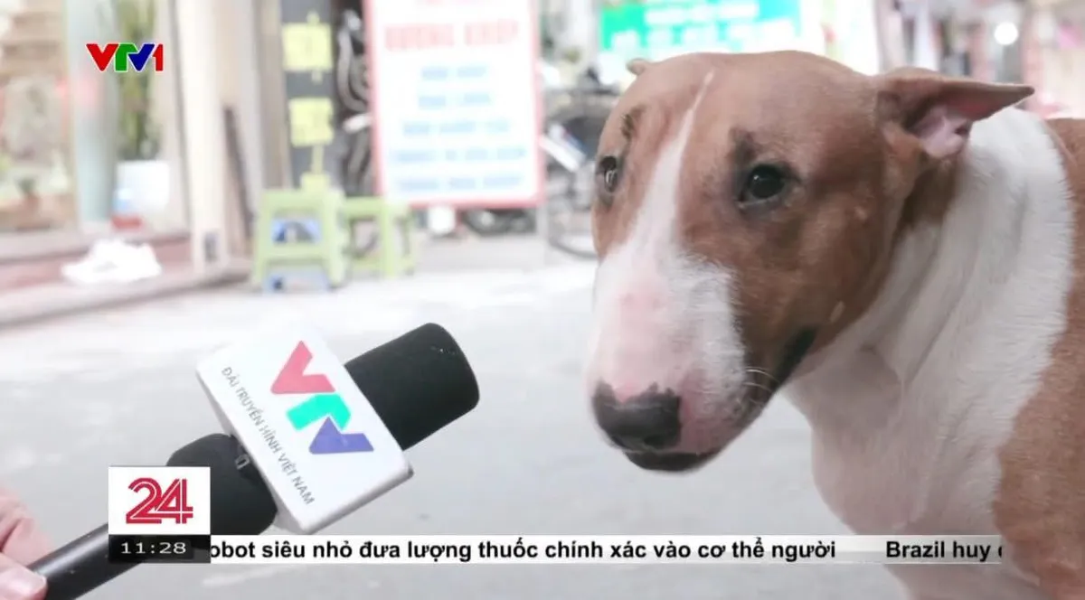 &ldquo;Qu&aacute;n phở của anh Hai&rdquo; &ndash; khi đời sống Việt Nam trở th&agrave;nh chất liệu cho game - Ảnh 2.