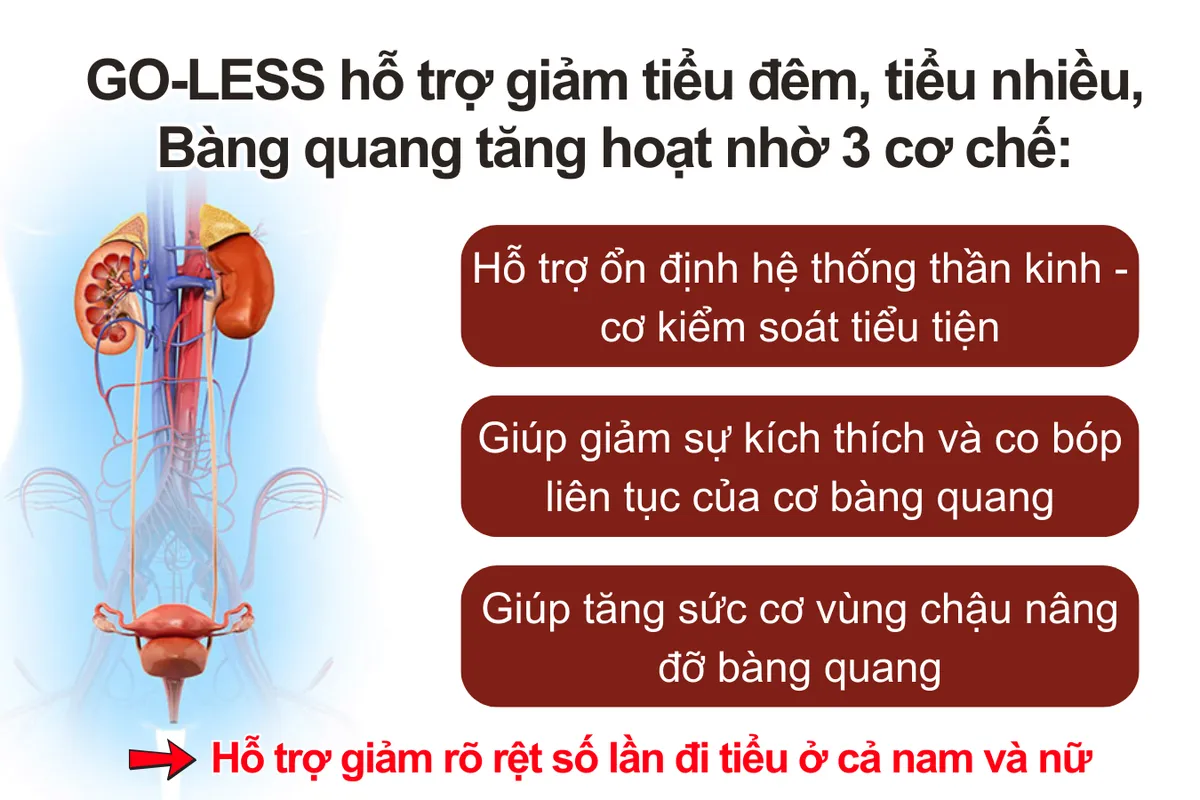Bất ngờ “tiểu đêm 4 lần, tiểu nhiều tới chục lần” cải thiện rõ rệt nhờ Ích Niệu Khang- Ảnh 4. Bất ngờ “tiểu đêm 4 lần, tiểu nhiều tới chục lần” cải thiện rõ rệt nhờ Ích Niệu Khang- Ảnh 4.