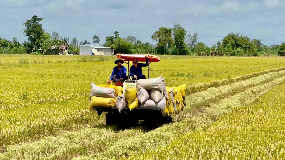 Bảo hiểm nông nghiệp, quỹ rủi ro cộng đồng: cứu cánh cho sinh kế vùng lũ- Ảnh 1. Bảo hiểm nông nghiệp, quỹ rủi ro cộng đồng: cứu cánh cho sinh kế vùng lũ- Ảnh 1.