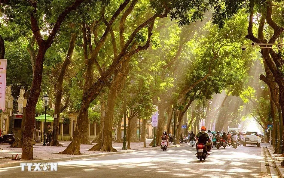 Mùa Thu - nét đẹp đặc trưng đầy quyến rũ của Hà Nội 