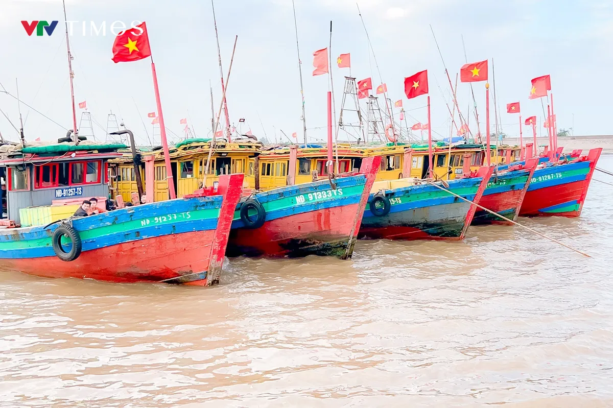 Ninh Bình xử phạt nhiều tàu cá vi phạm khai thác IUU - Ảnh 1.