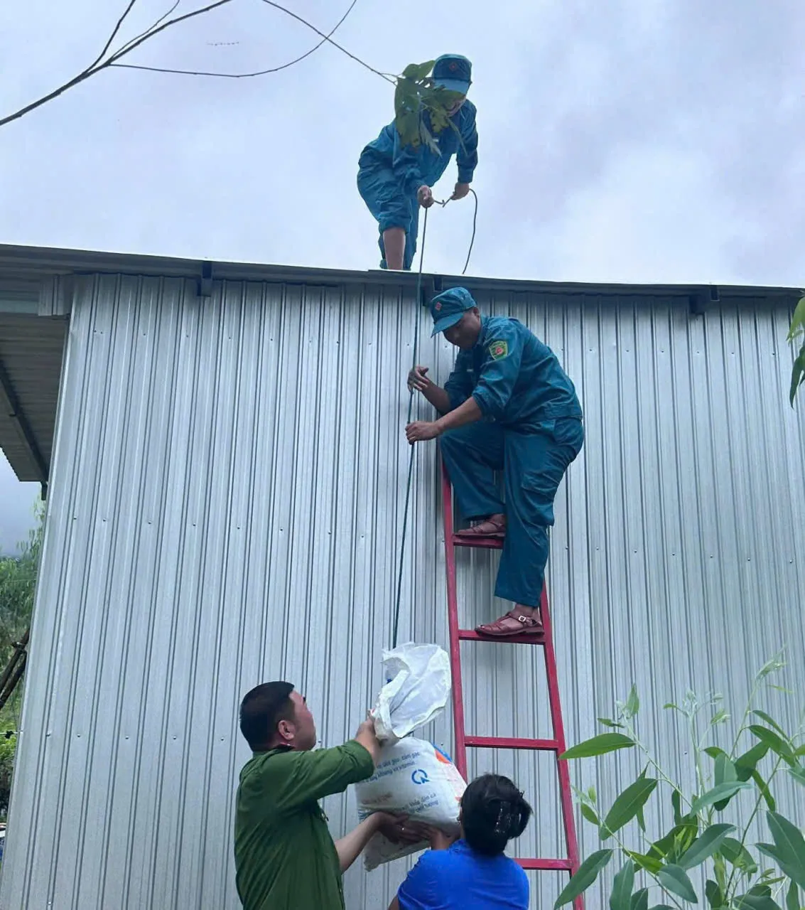 Đắk Lắk: Quân dân đồng loạt ra quân, triển khai các biện pháp ứng phó bão khẩn cấp - Ảnh 4.