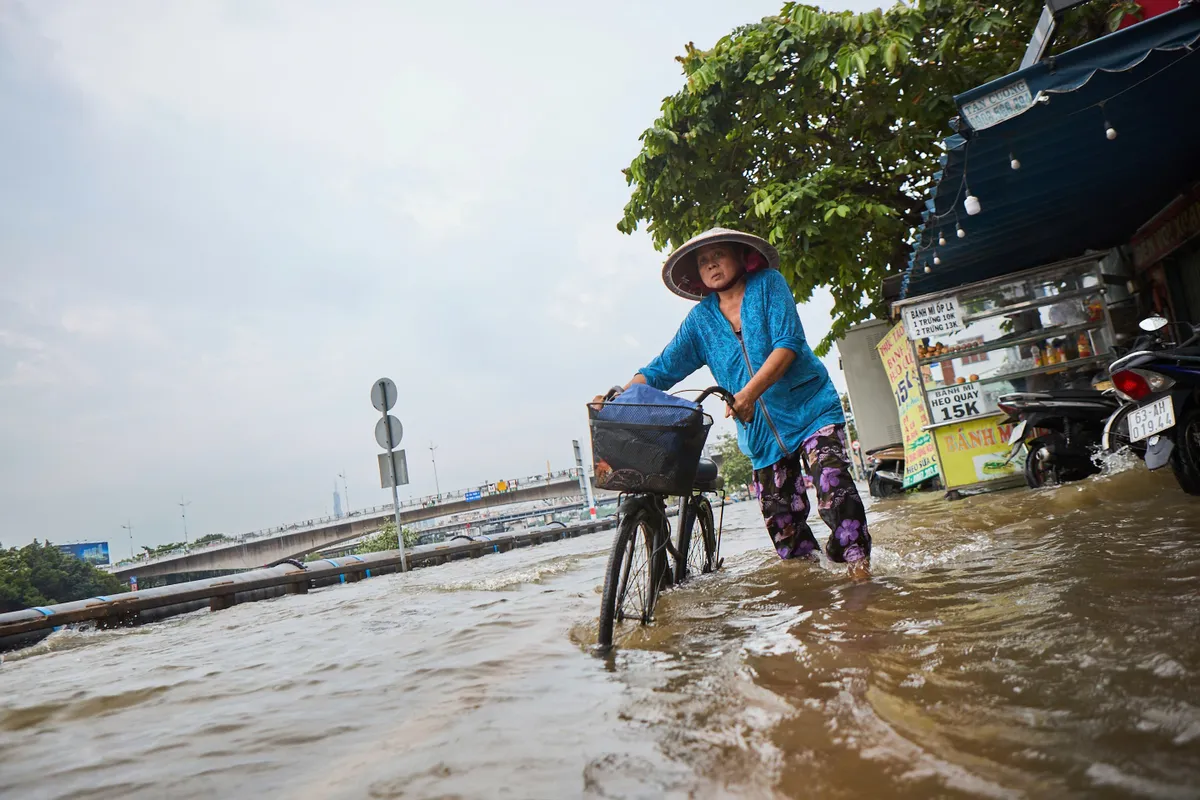 TP Hồ Chí Minh: Cảnh báo mất an toàn giao thông do mưa bão và triều cường kỷ lục- Ảnh 3. TP Hồ Chí Minh: Cảnh báo mất an toàn giao thông do mưa bão và triều cường kỷ lục- Ảnh 3.