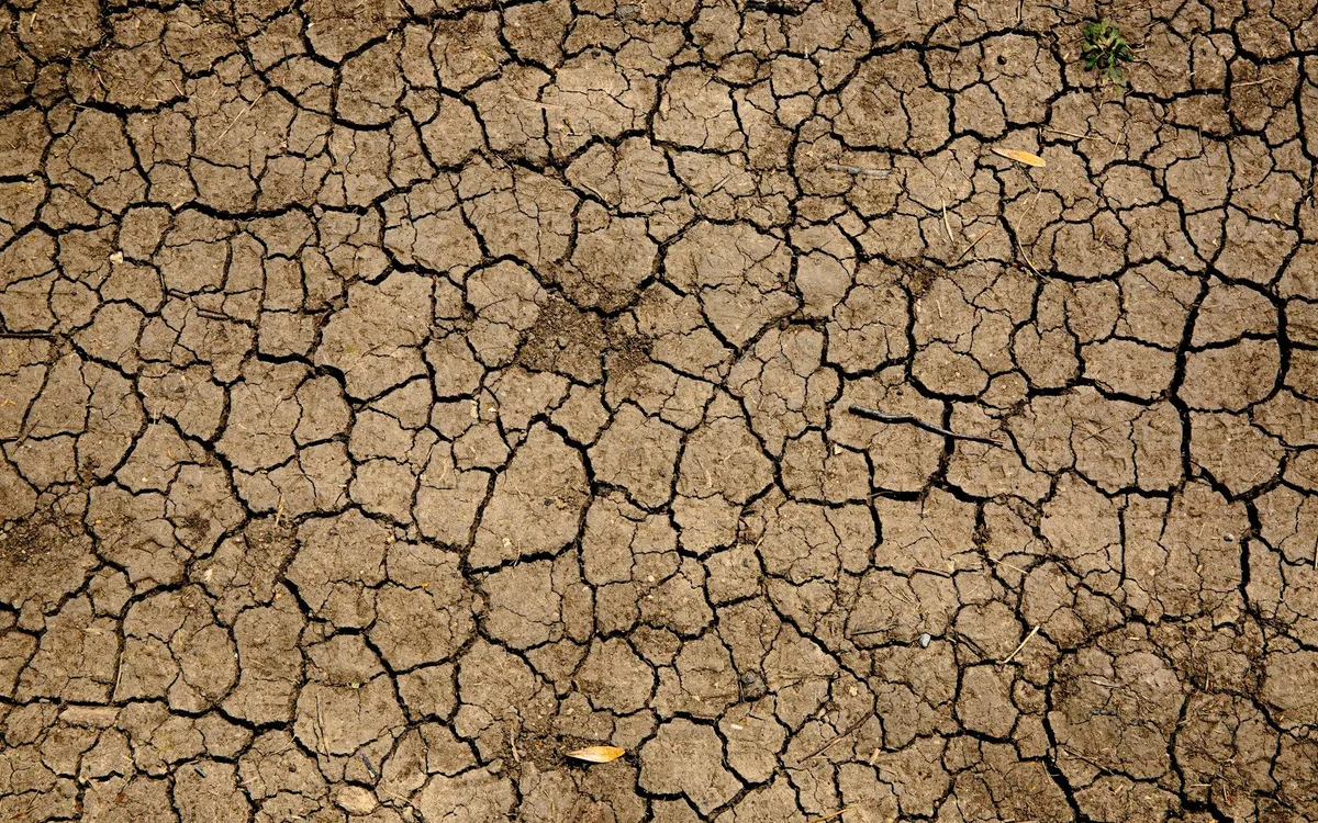 (Ảnh minh hoạ: Unsplash)