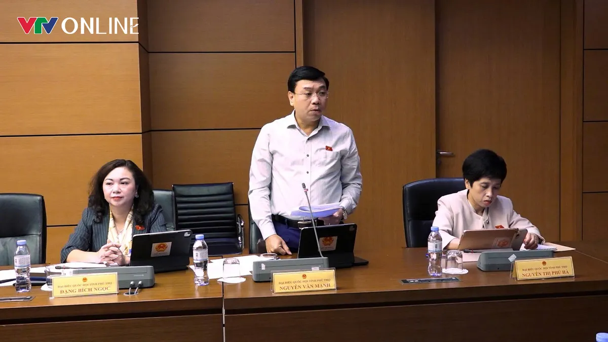 ĐBQH đề nghị bổ sung trách nhiệm cấp xã trong quản lý khoáng sản - Ảnh 3.