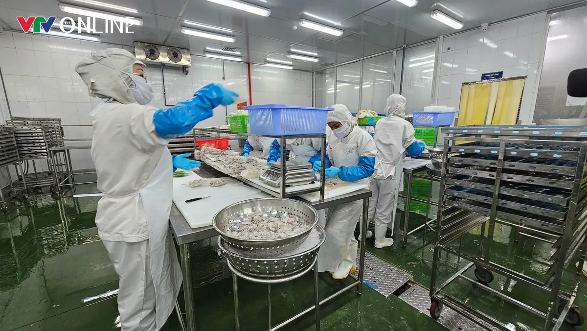 Gỡ thẻ vàng: Thanh Hóa siết kiểm soát tàu cá - Ảnh 4.