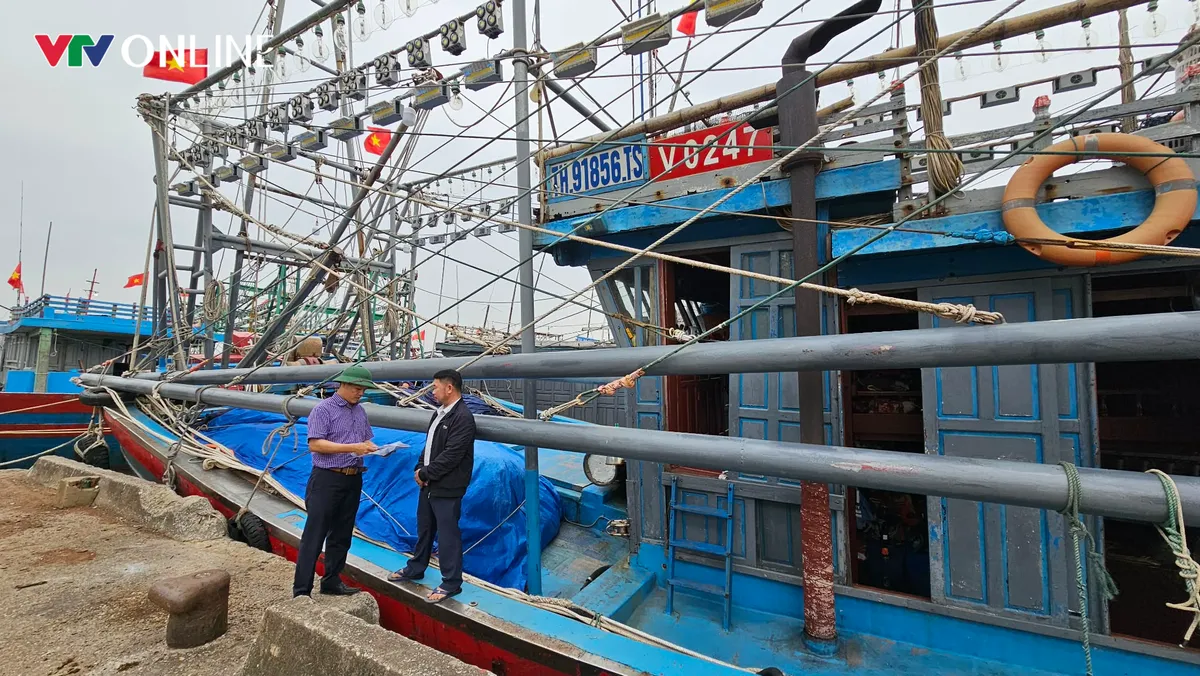 Gỡ thẻ vàng: Thanh Hóa siết kiểm soát tàu cá - Ảnh 3.