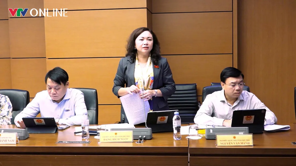 ĐBQH đề nghị bổ sung trách nhiệm cấp xã trong quản lý khoáng sản - Ảnh 2.