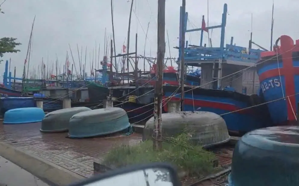 Tàu thuyền đều vào neo đậu trong luồng lạch, tránh trú bão an toàn.