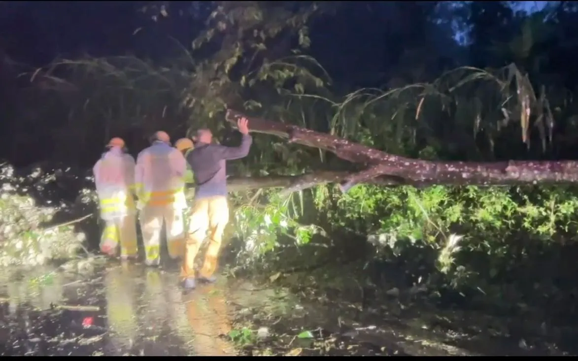 Cây xanh ngã đổ, khuyến cáo người dân không ra đường giữa bão số 13.