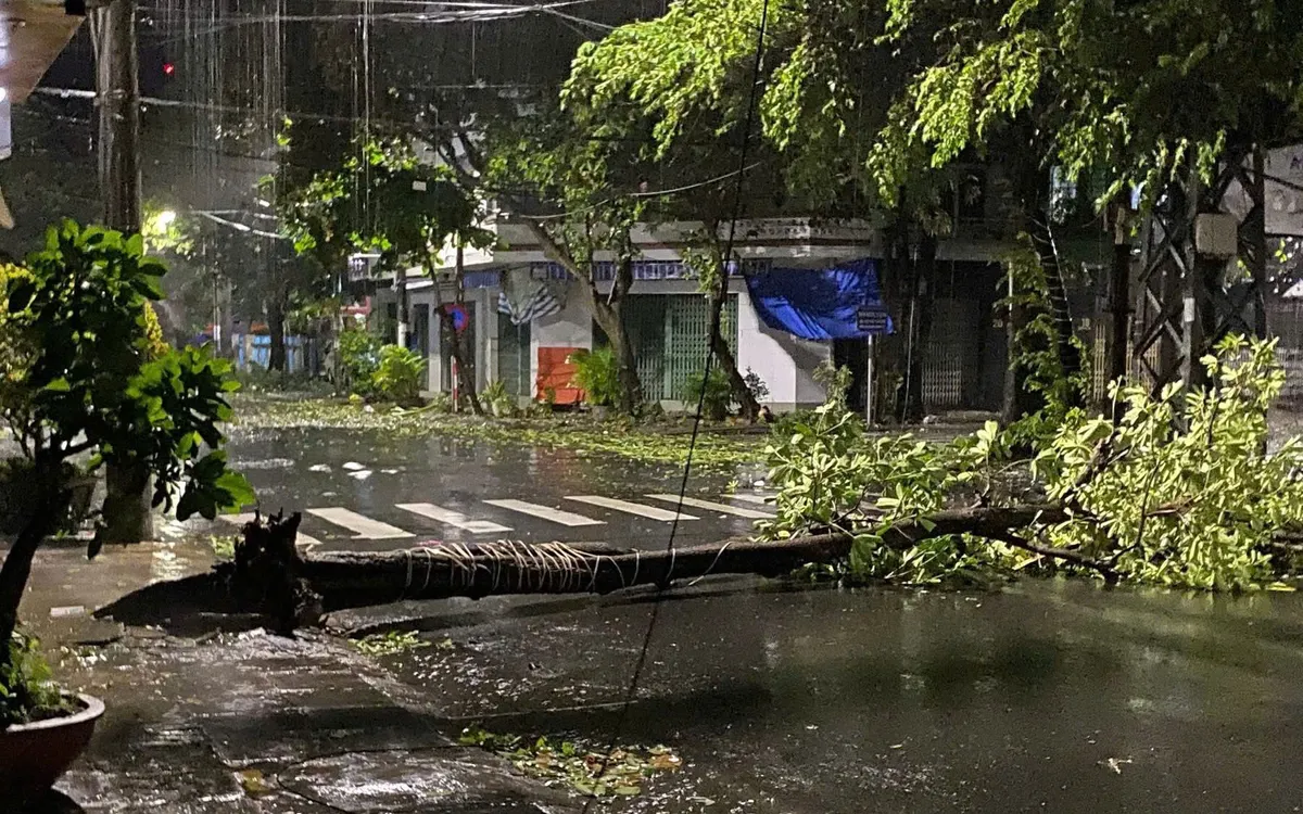 Cây xanh ngã đổ hàng loạt tại Đắk Lắk.