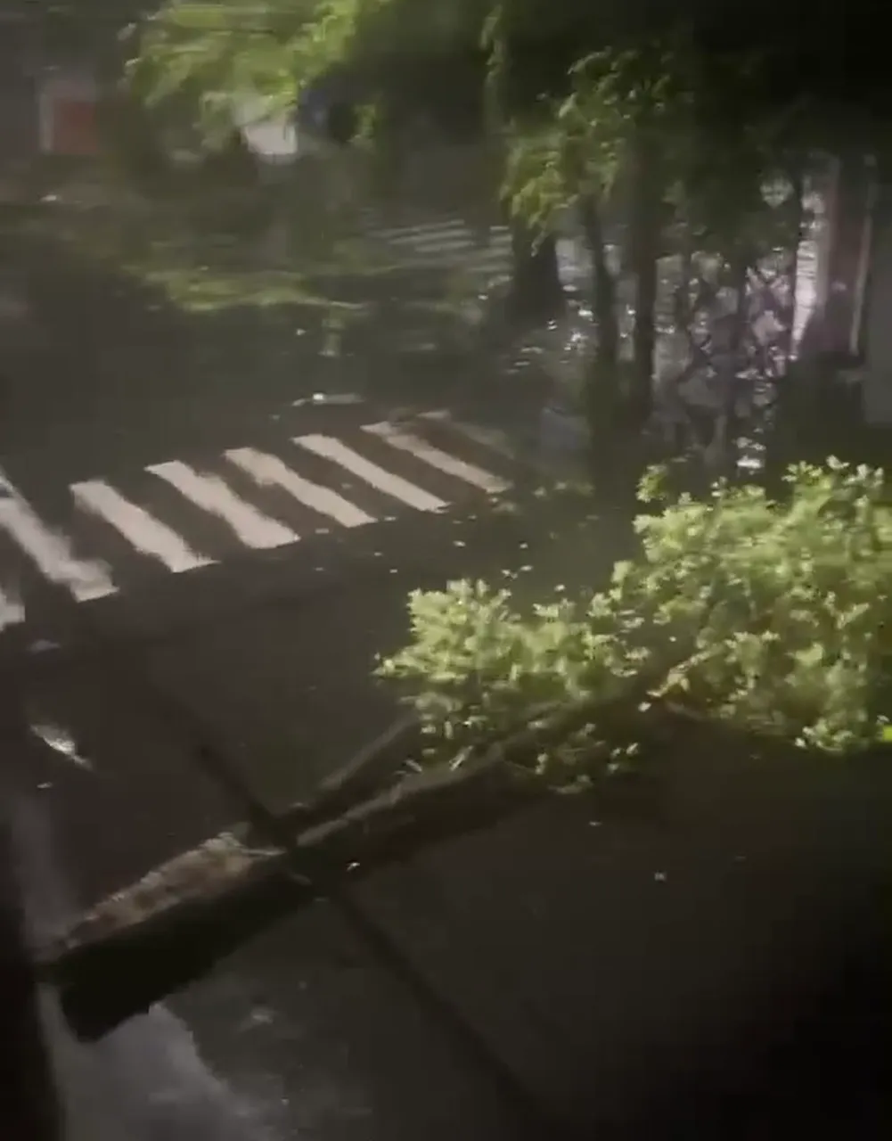 Bão Kalmaegi đổ bộ: Một người dân tử vong do nhà sập ở Đắk Lắk - Ảnh 2.