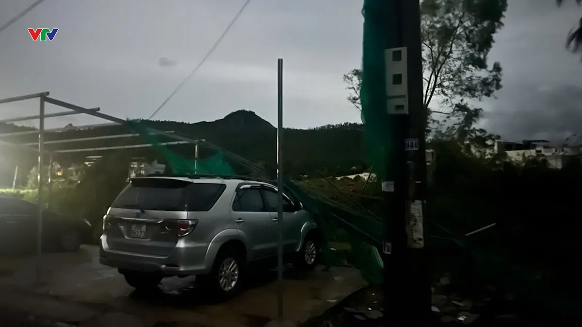 Đắk Lắk di dời 8.000 người, hàng loạt căn nhà sập, cây bật gốc vì bão số 13- Ảnh 1. Đắk Lắk di dời 8.000 người, hàng loạt căn nhà sập, cây bật gốc vì bão số 13- Ảnh 1.