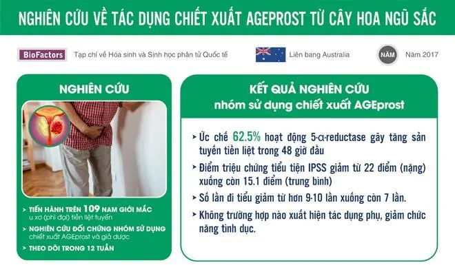 3 lý do người mắc phì đại tiền liệt tuyến nên dùng Tiền Thiên Đan- Ảnh 2. 3 lý do người mắc phì đại tiền liệt tuyến nên dùng Tiền Thiên Đan- Ảnh 2.