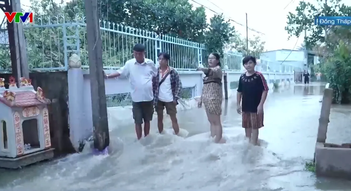 Đồng Tháp ngập nặng do triều cường lịch sử, hàng trăm ha vườn cây ăn trái bị nước nhấn chìm - Ảnh 1.