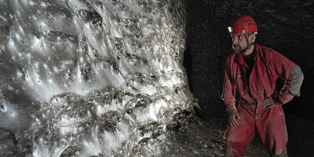 Phát hiện mạng nhện khổng lồ nhất thế giới, rộng 106 m² với hơn 100.000 con nhện- Ảnh 1. Phát hiện mạng nhện khổng lồ nhất thế giới, rộng 106 m² với hơn 100.000 con nhện- Ảnh 1.