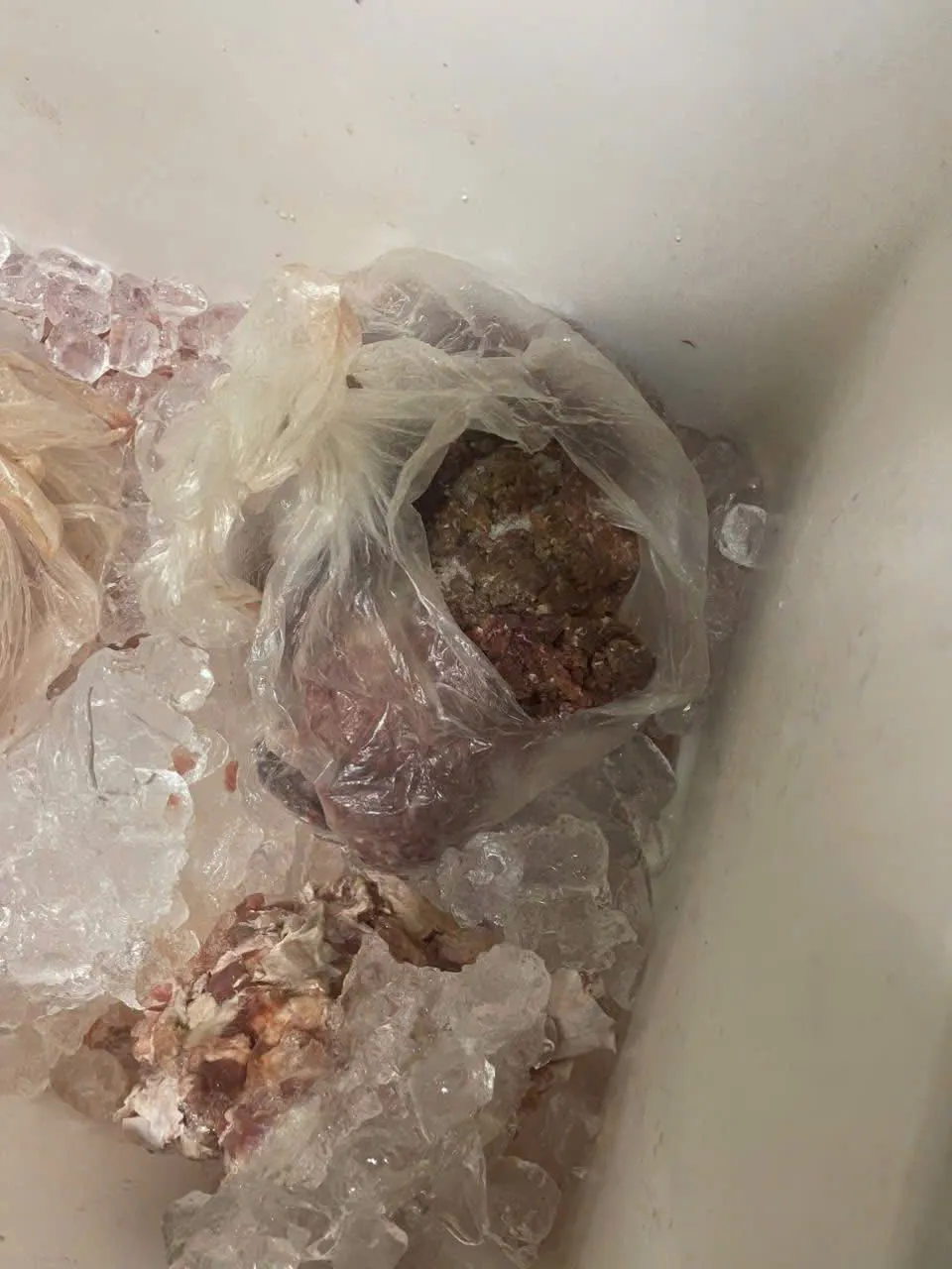 Công an vào cuộc vụ phụ huynh trường tiểu học phát hiện bếp ăn có xương ôi thiu - Ảnh 1.