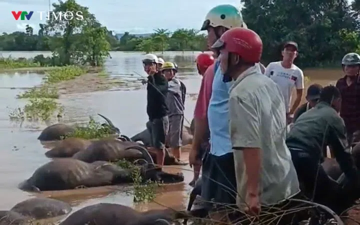 Người dân xót xa nhìn tài sản bị mất trắng.