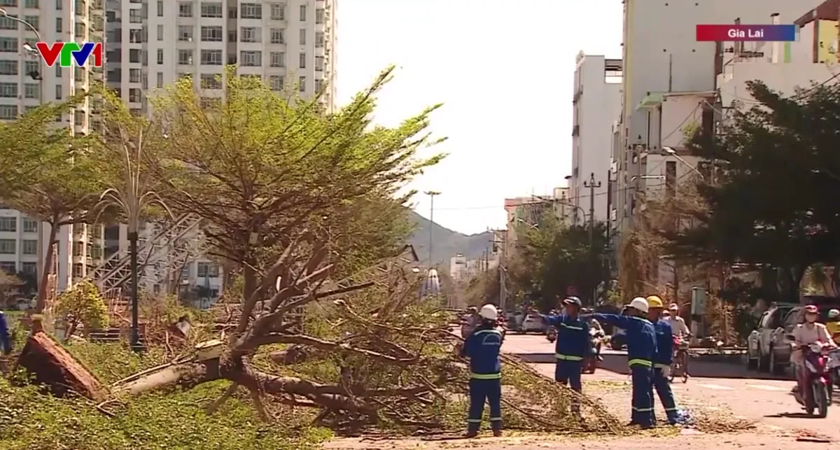 Gia Lai thiệt hại nặng sau bão, chính quyền khẩn trương khắc phục hậu quả- Ảnh 5.
