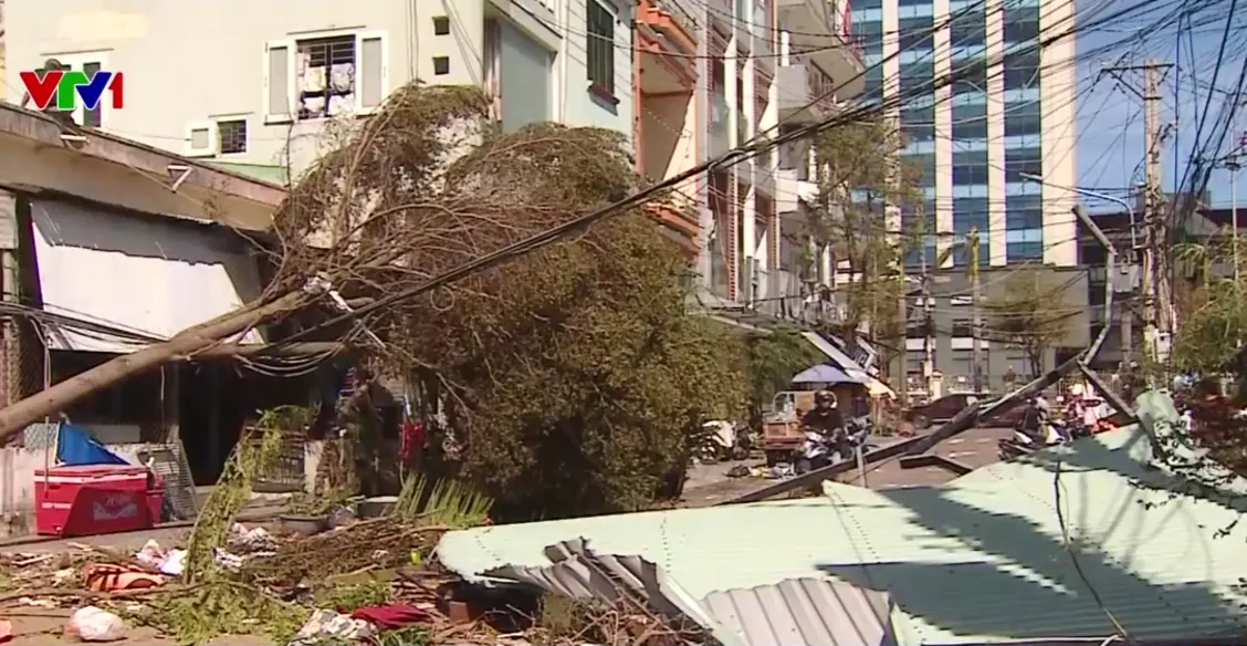 Gia Lai thiệt hại nặng sau bão, chính quyền khẩn trương khắc phục hậu quả- Ảnh 3.
