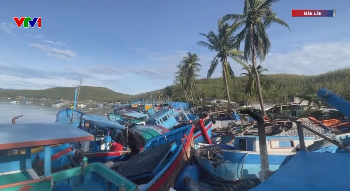 Hàng nghìn lồng tôm hùm ở Đắk Lắk trôi dạt, nhiều tàu cá vỡ vụn sau bão- Ảnh 1.
