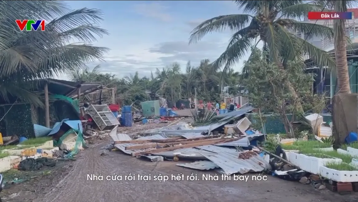 Hàng nghìn lồng tôm hùm ở Đắk Lắk trôi dạt, nhiều tàu cá vỡ vụn sau bão- Ảnh 2.