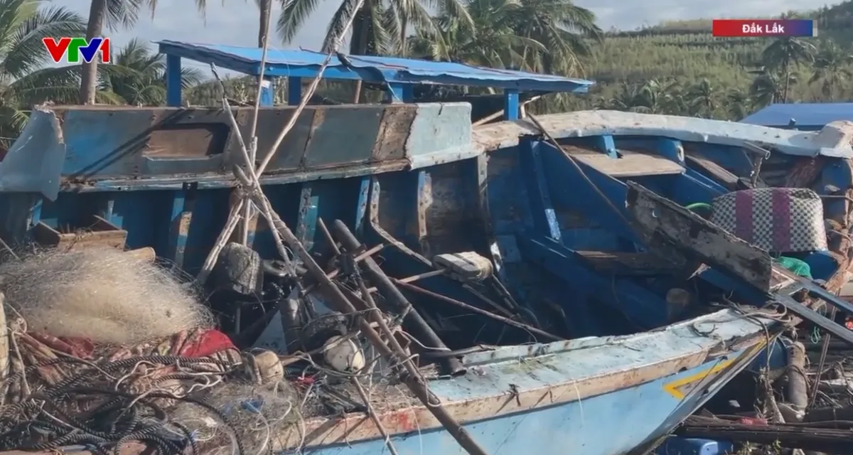 Hàng nghìn lồng tôm hùm ở Đắk Lắk trôi dạt, nhiều tàu cá vỡ vụn sau bão- Ảnh 5.