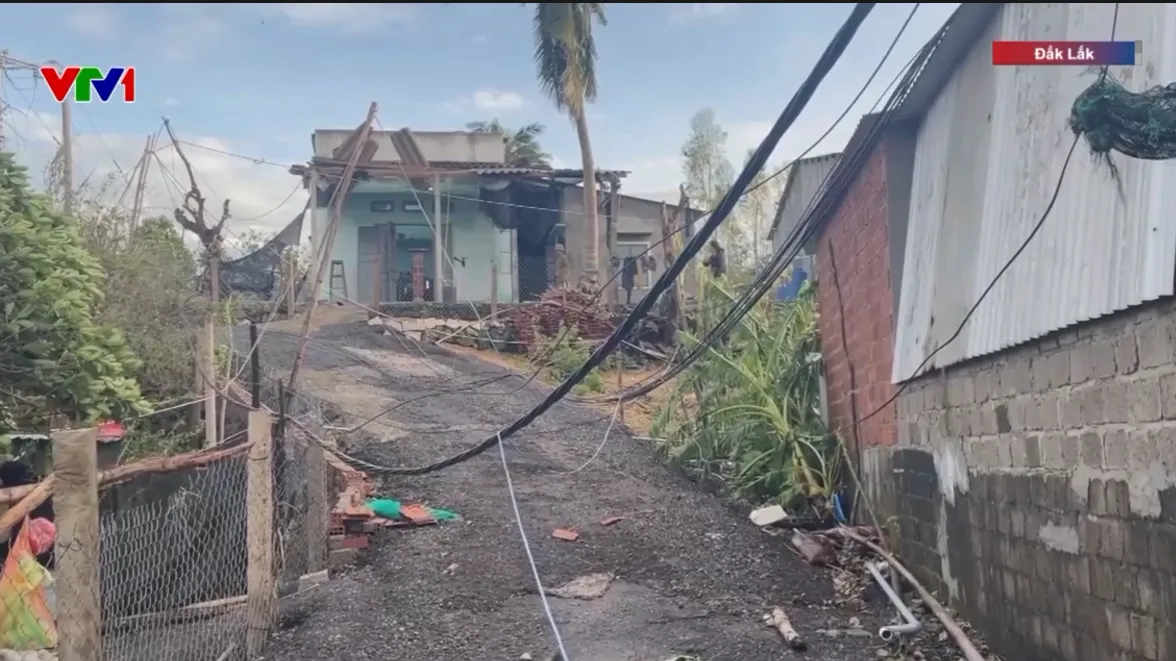 Hàng nghìn lồng tôm hùm ở Đắk Lắk trôi dạt, nhiều tàu cá vỡ vụn sau bão- Ảnh 6.