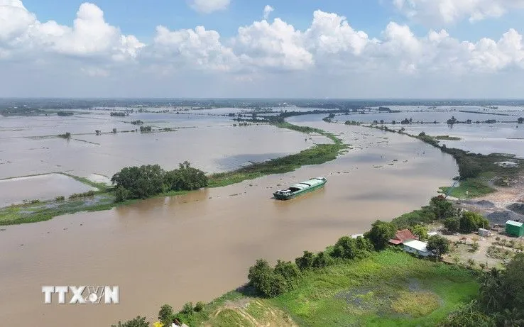 Nước sông Vàm Cỏ Đông (đoạn chảy qua địa phận xã Thạnh Đức, tỉnh Tây Ninh) dâng cao, gây ngập nhiều diện tích đất nông nghiệp của người dân. (Ảnh: Thanh Tân/TTXVN)