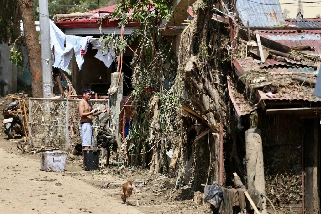 Những nghi vấn về dự án chống lụt tại Philippines- Ảnh 1.