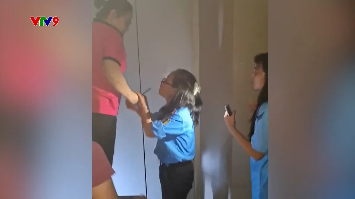 chasy chung cư le thành.jpg