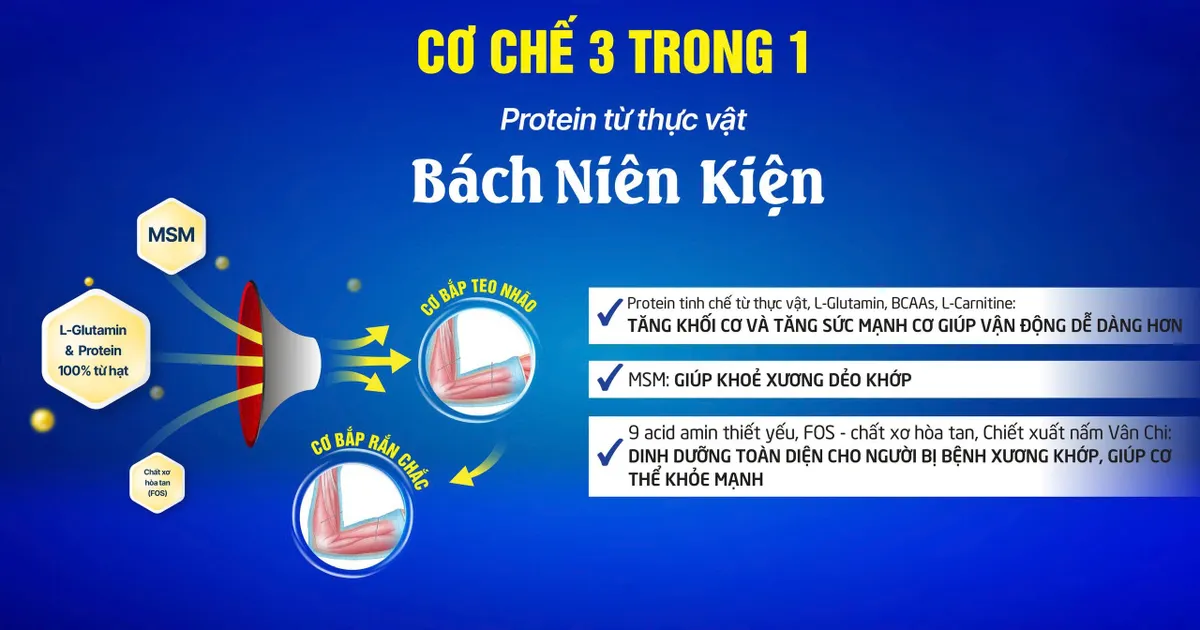 Tiêu đề:  “Đạm vàng” cho xương khớp và cơ bắp, Protein Bách Niên Kiện - bí quyết trẻ hóa từ bên trong- Ảnh 2.