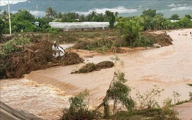 Ảnh minh họa: TTXVN