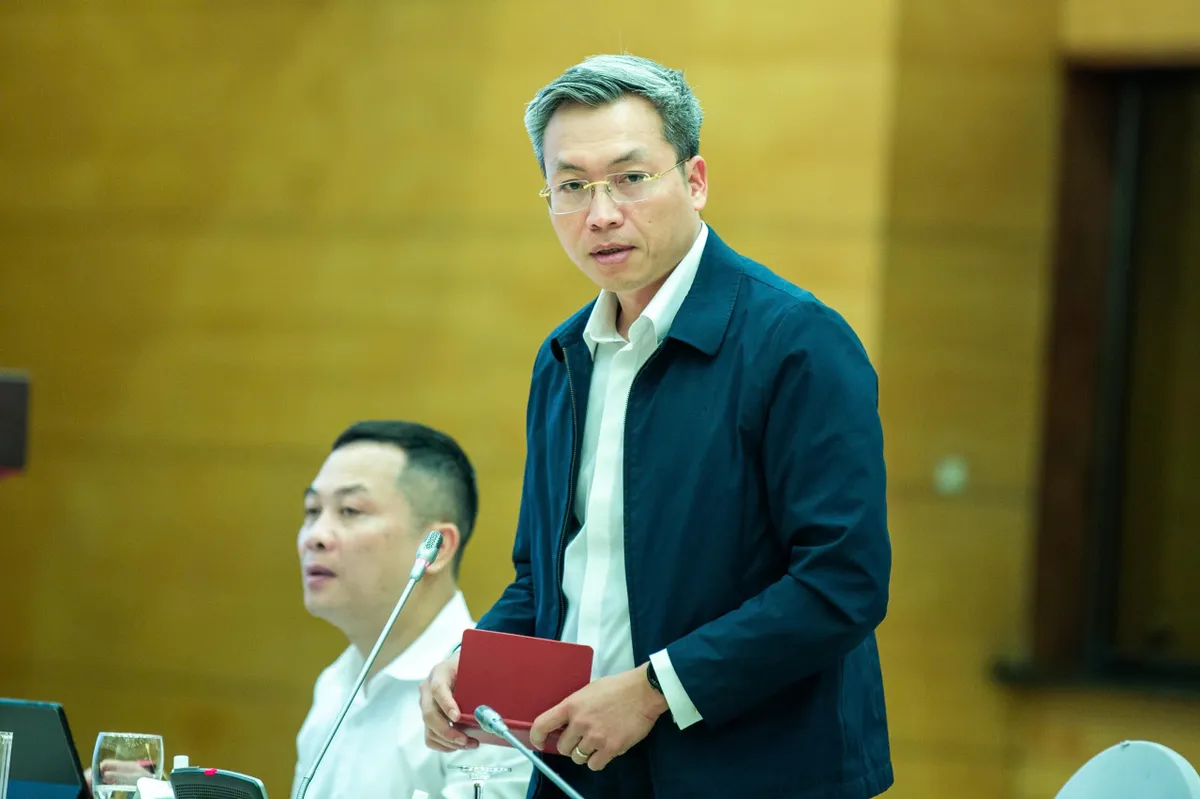 Kê biên hai tài sản hơn 320 tỉ của Hoàng Hường  - Ảnh 1.