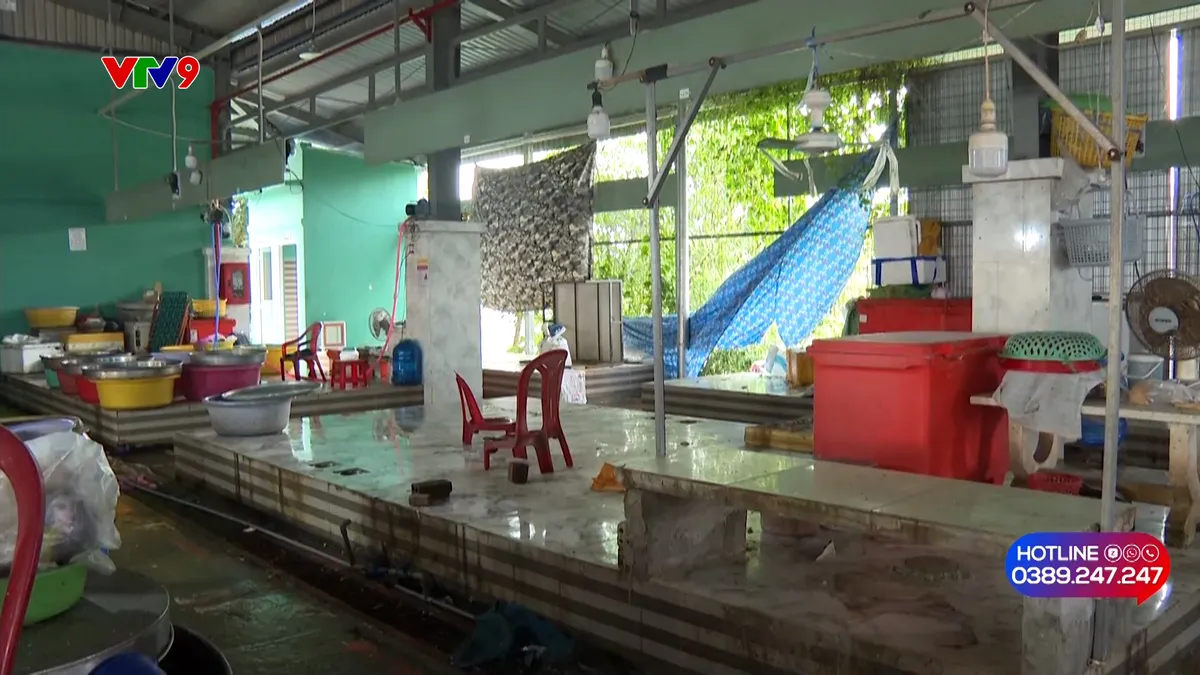 pnhn-0811-alov9 1.jpg