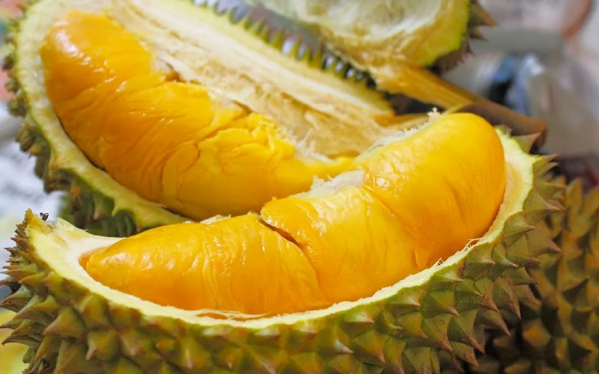 Giúp ngành sầu riêng Việt Nam phát triển ổn định, giữ vững niềm tin của thị trường nhập khẩu